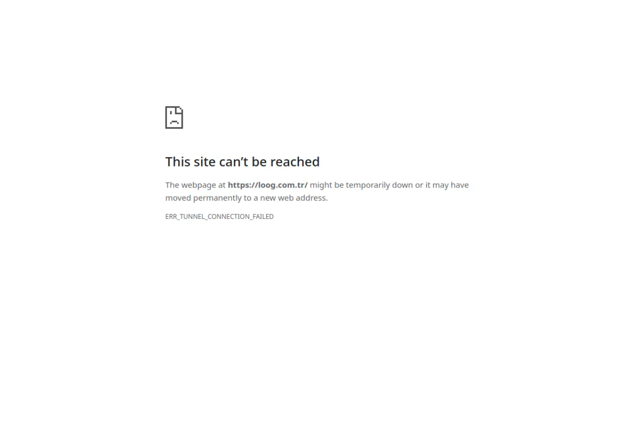 loog.com.tr web sitesi ekran görüntüsü