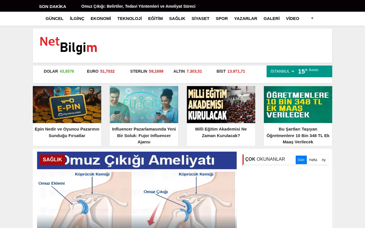netbilgim.com web sitesi ekran görüntüsü