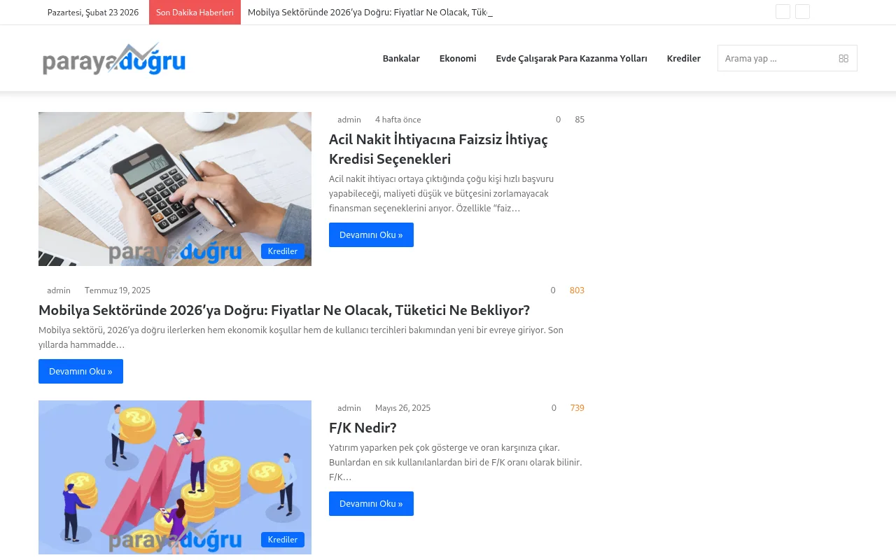 parayadogru.com web sitesi ekran görüntüsü - Ekonomi - DA 20