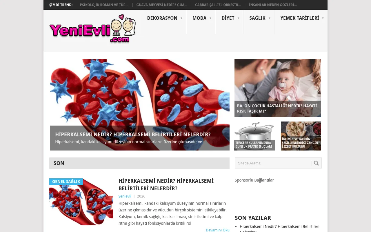 yenievli.com web sitesi ekran görüntüsü - DA 19